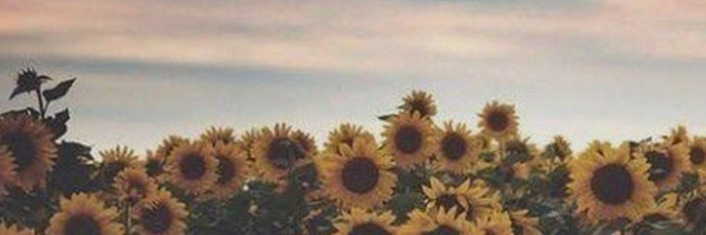 𝚓𝚊𝚜𝚖𝚒𝚗𝚎's banner
