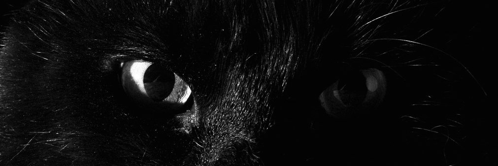 Disclose.tv's banner