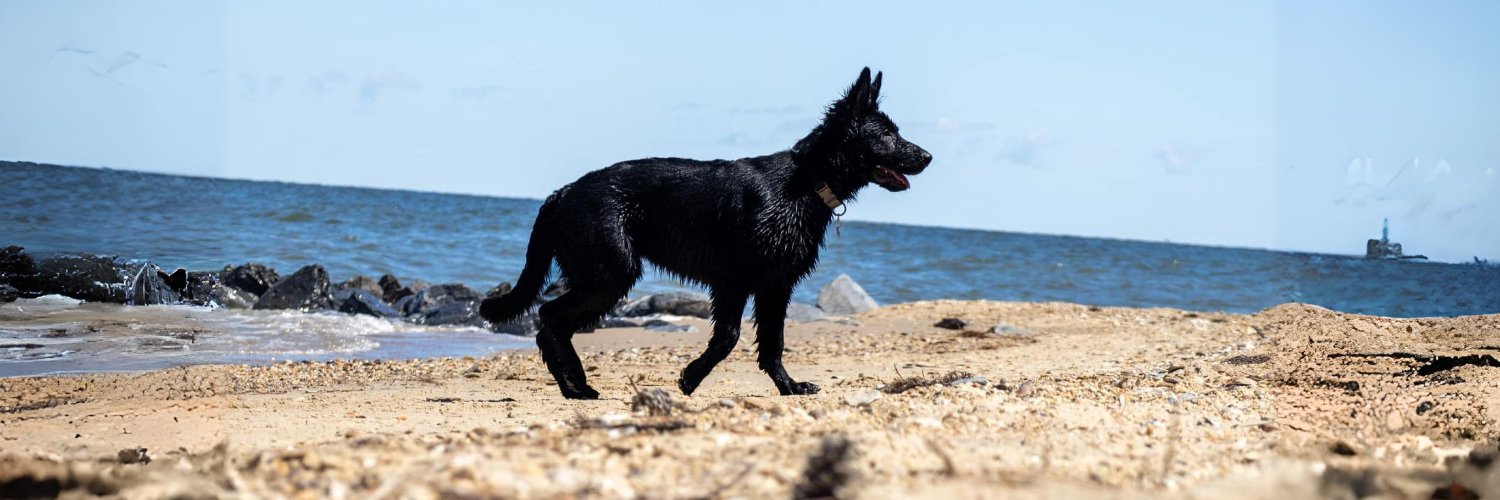 Pawsome German Shepherds's banner