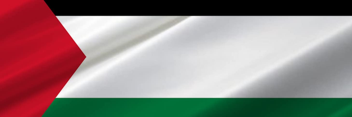 ULLLTIMMAAAAA🍉🇵🇸|#TENOÍ!'s banner
