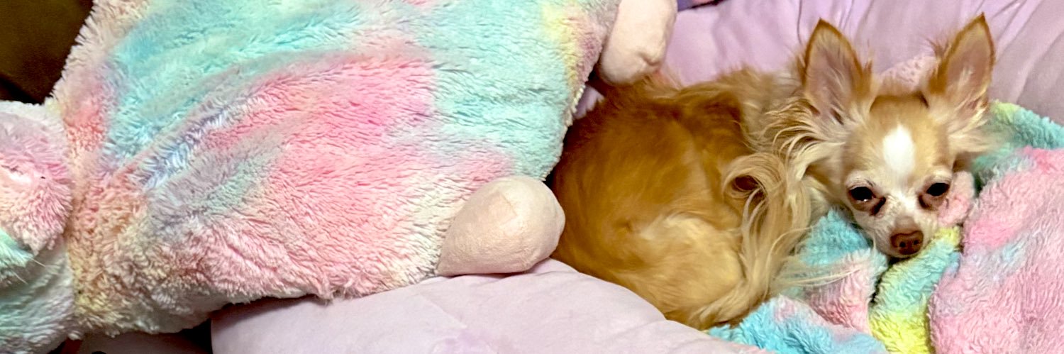 Bearheart💜Jiminie🥰💜🌈💖🌸💞🦄🎂🍰🧁's banner