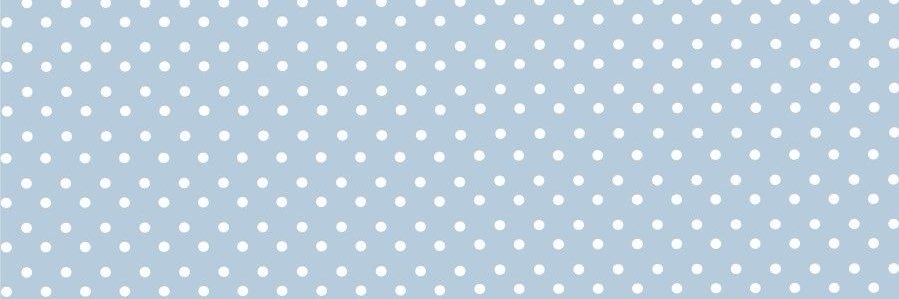 promise 🪽's banner