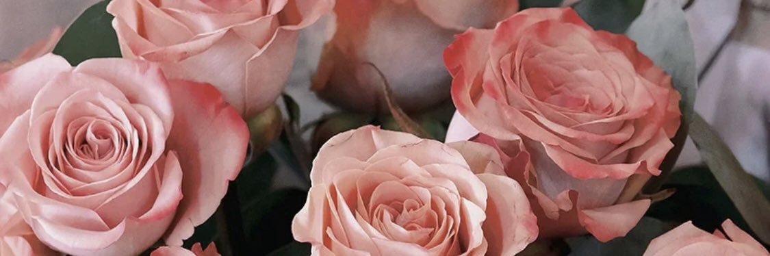 🧚‍♀️'s banner