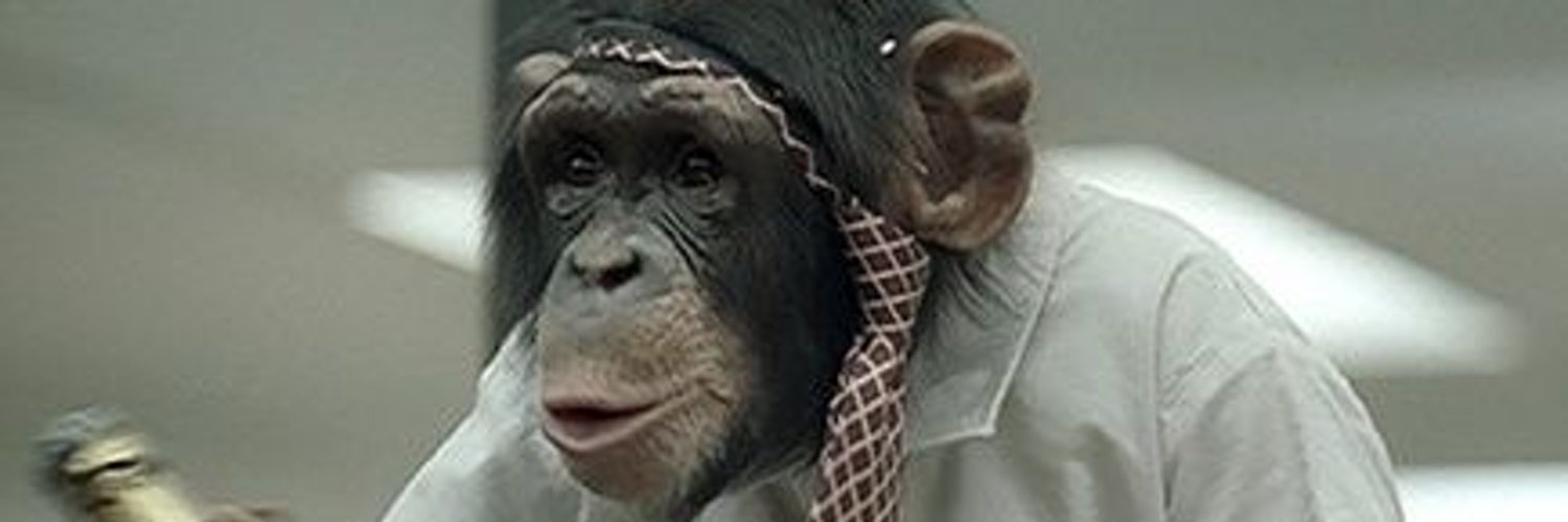 Monkey Delay's banner