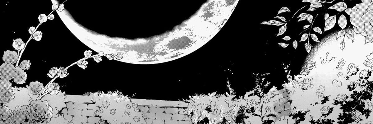 jan's banner