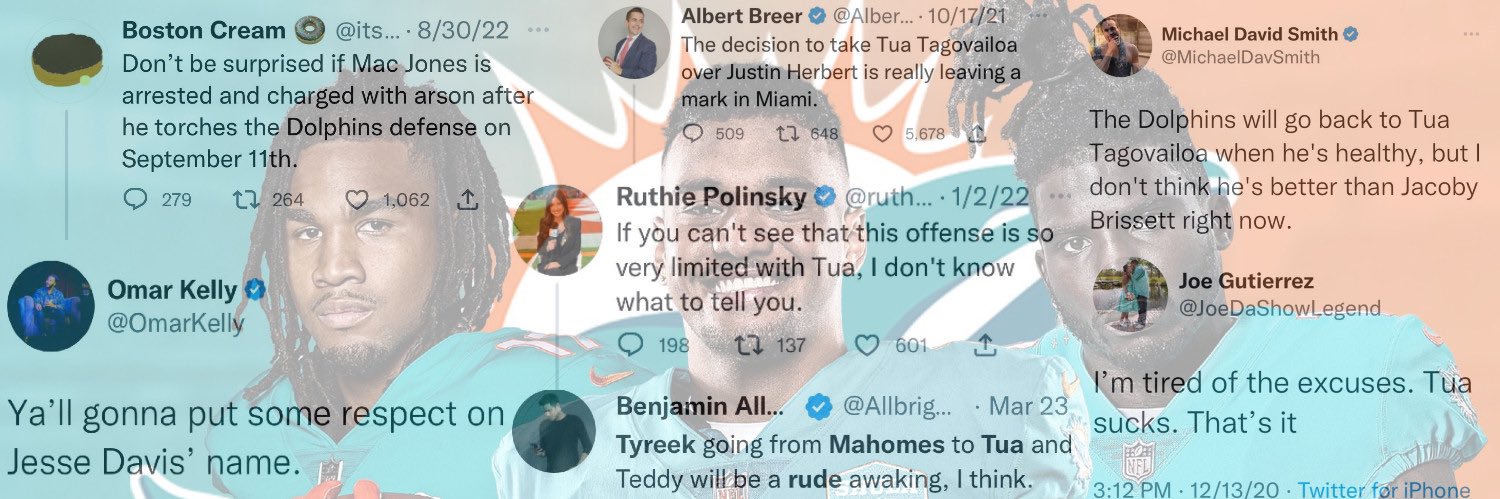Dolphins Receipts's banner