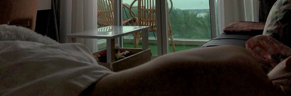 Harry Bun's banner