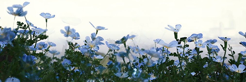 おフランス's banner