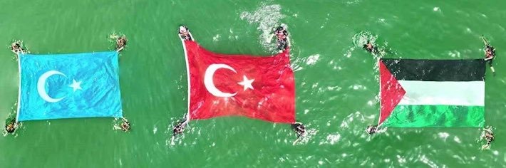beyzaishere 💯's banner