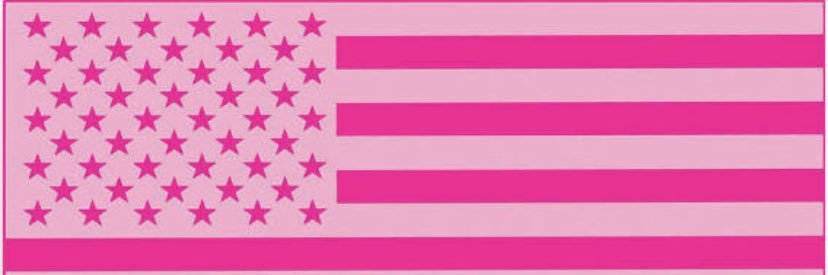 blonde conservative's banner