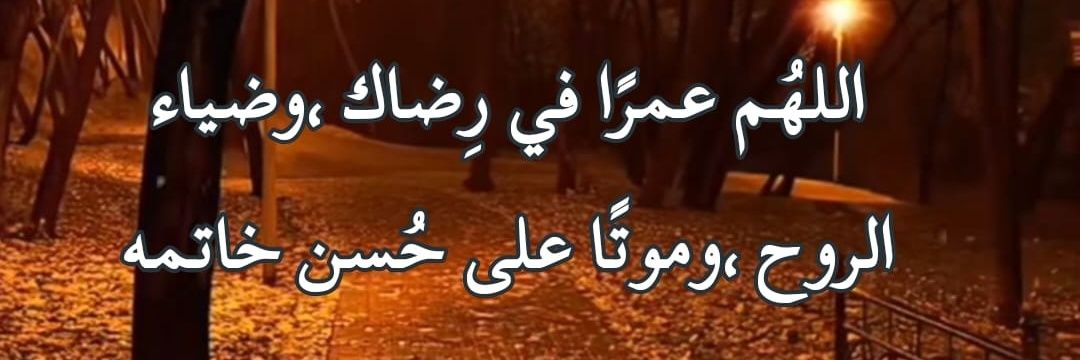awaab ali 🦅 ⚜️'s banner