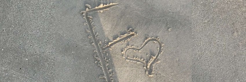 فَـاء🌼's banner