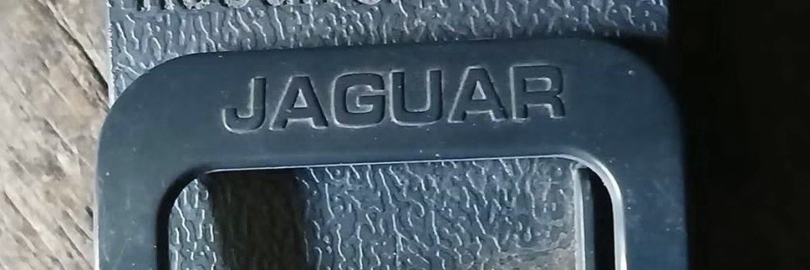 JAGUAR.'s banner
