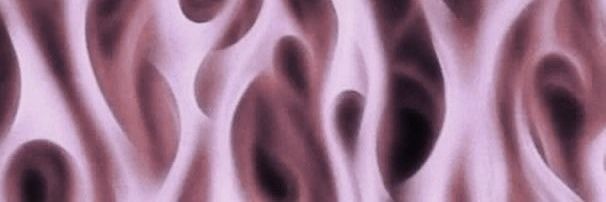 𝒜𝓇𝒾𝓈𝓊's banner