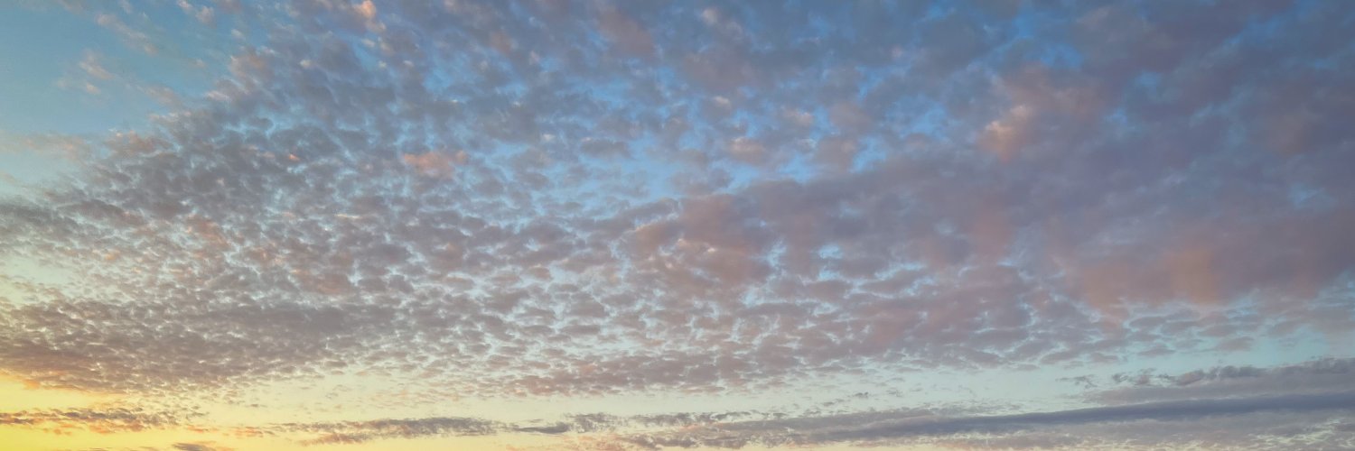 Aura Bogado's banner