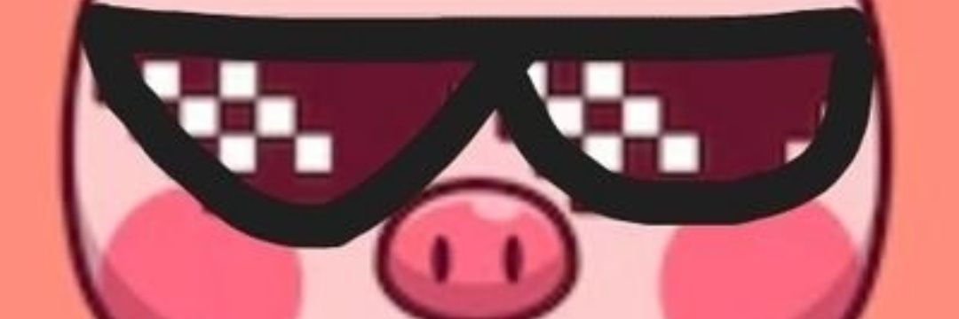 dominasumcasado's banner