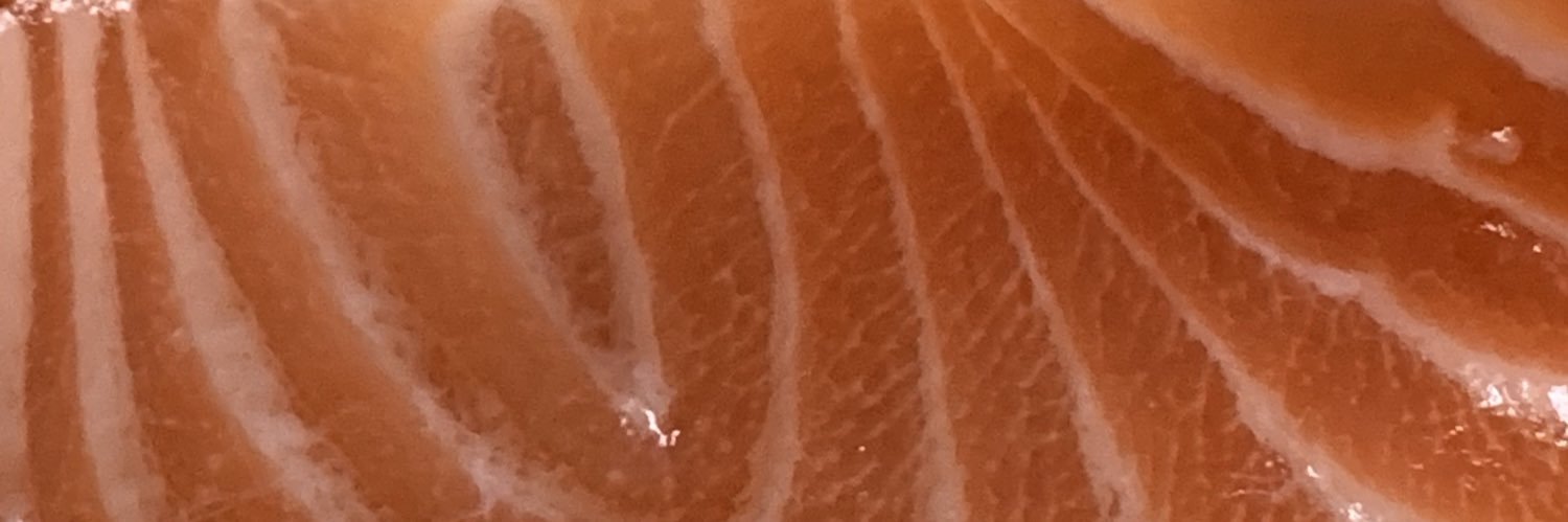 魚's banner