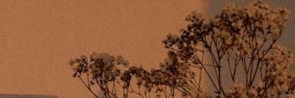 Monalisa's banner