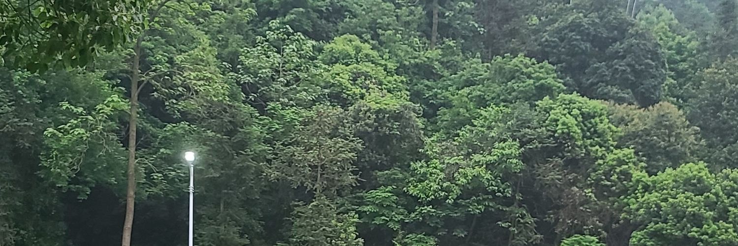 录音带师's banner