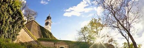 Јелена Лазић's banner