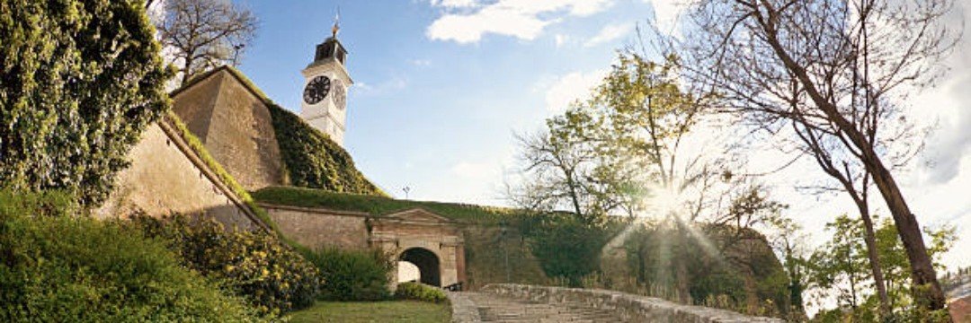 Јелена Лазић's banner