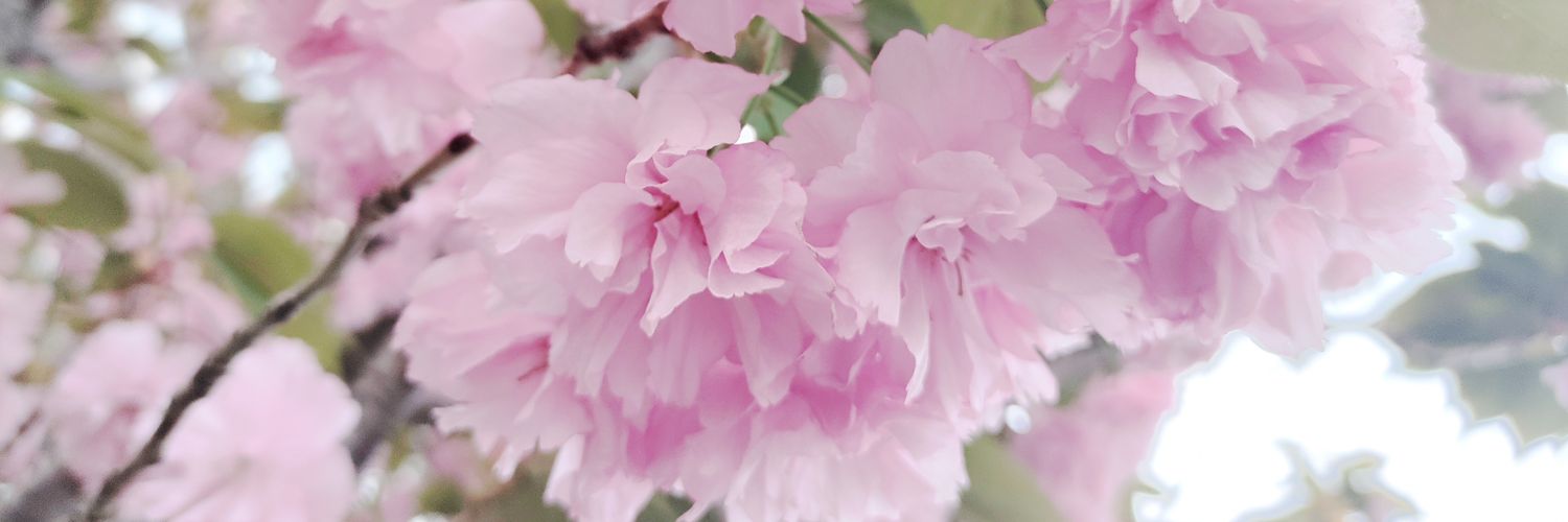 普通っす's banner