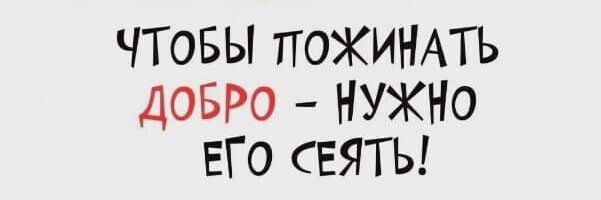 Муля, не нервируй...'s banner