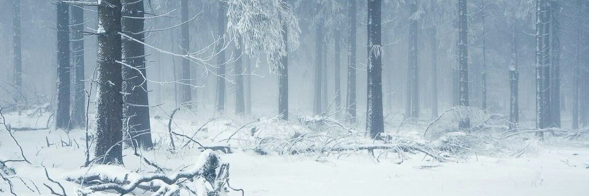 ivre ❆'s banner