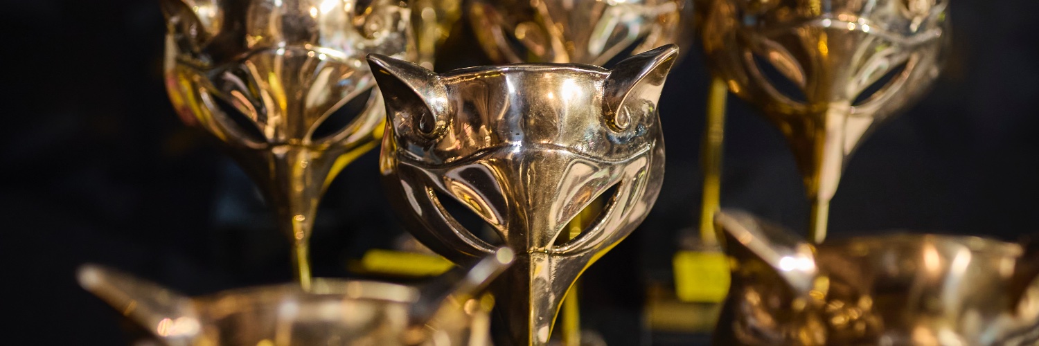 Premios Feroz's banner