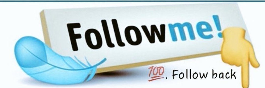 Naim Shanu's banner