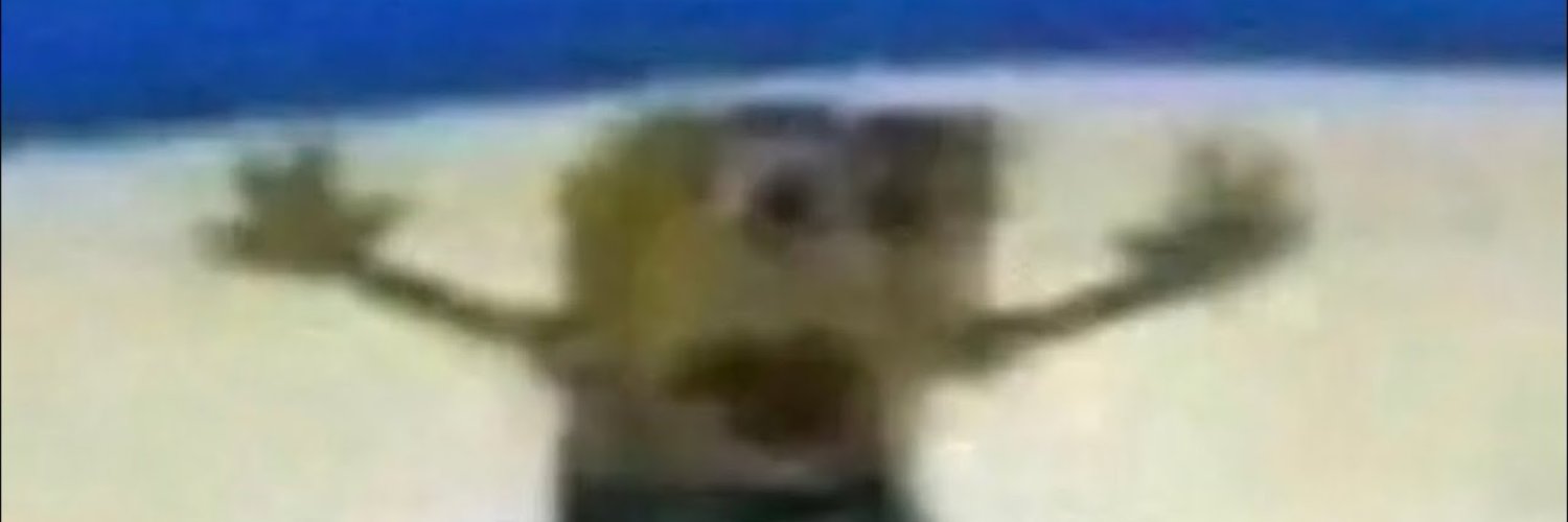 BOYSTEVE's banner