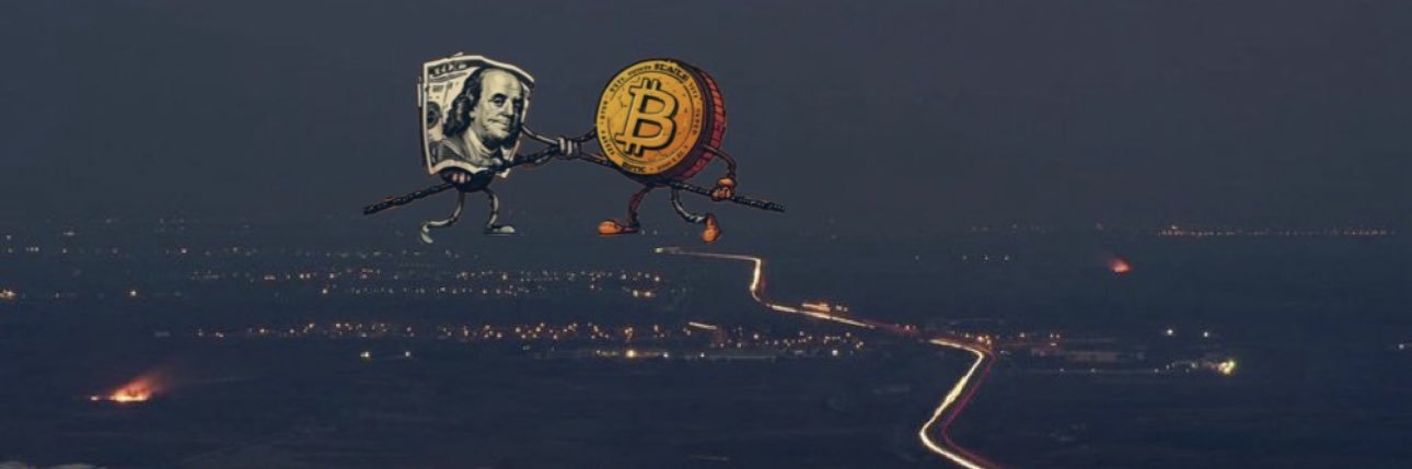 Crypto Piggie's banner