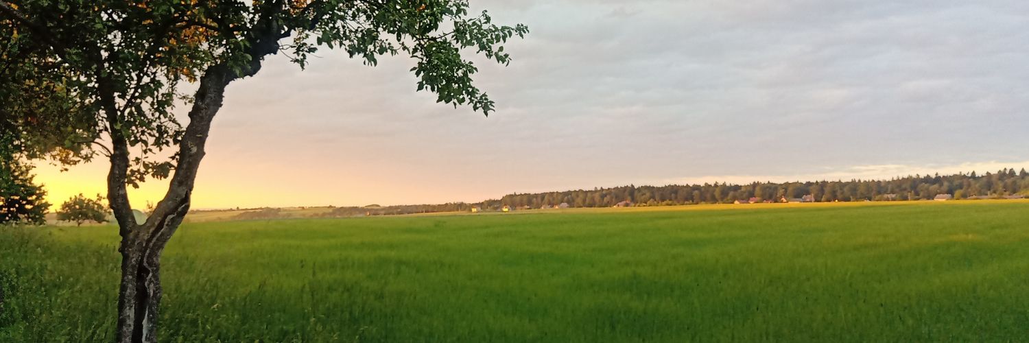 GermanofilPiotrIIIRomanow's banner