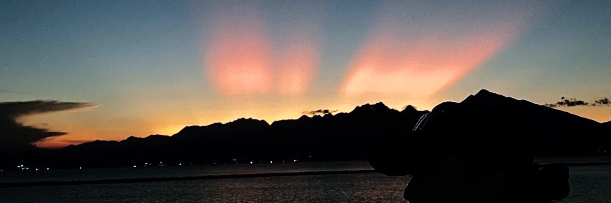 🦥bé Kem làm con tem 🦦's banner