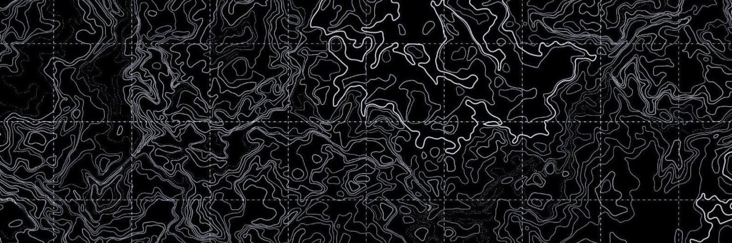 PICASSO_UA's banner