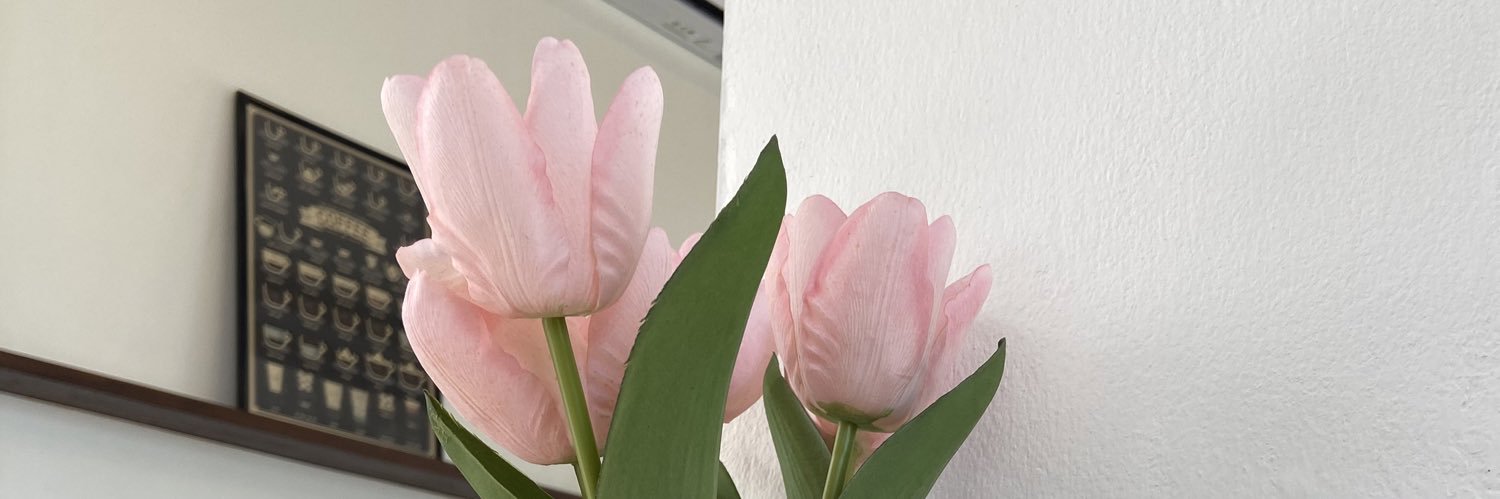 I’Timlita's banner