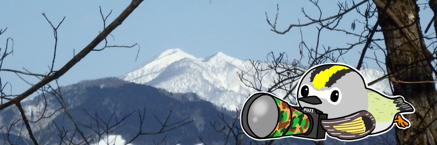 かまだけいご's banner