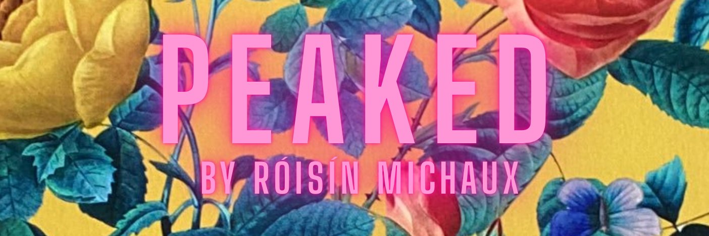 Róisín Michaux's banner