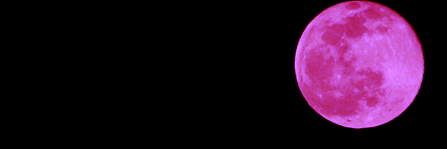 リアメギさん's banner
