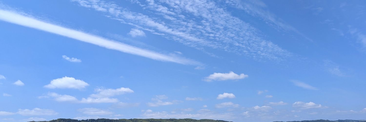 紙 智子　日本共産党's banner
