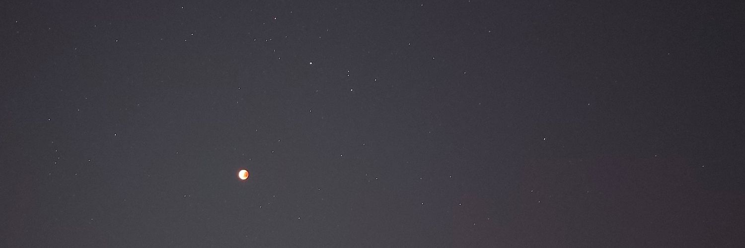 🦕's banner