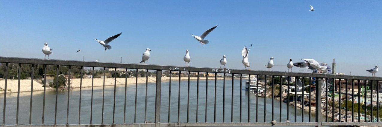 شبير محمد العراقي🇮🇶's banner