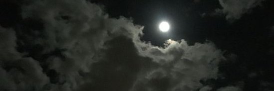 JADE 🐲🀄️ ¡!爱!¡'s banner