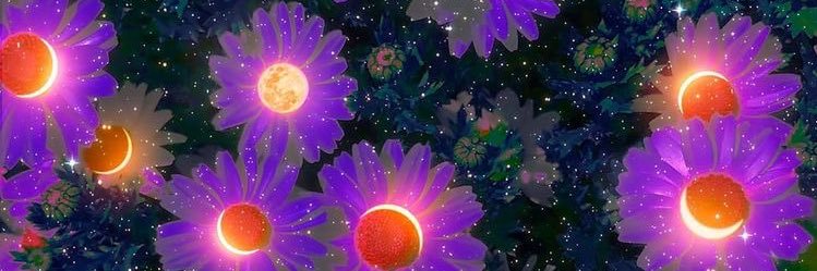 𝙢𝙚𝙧𝙪's banner