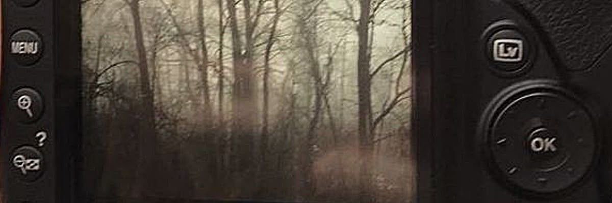 ★Zink★'s banner