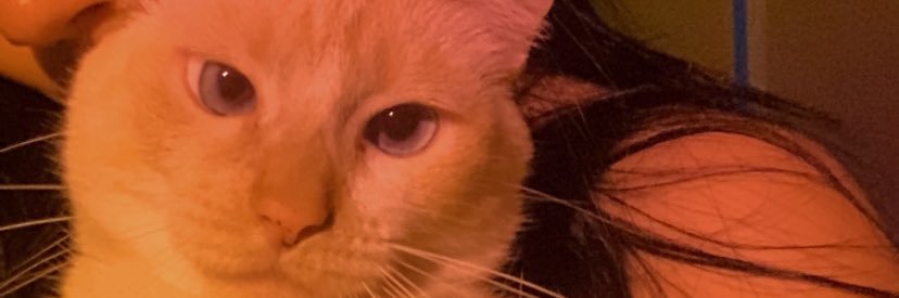 𝐻𝑒𝑙𝑒𝑛𝑎 𝑇𝑎𝑟𝑔𝑎𝑟𝑦𝑒𝑛's banner