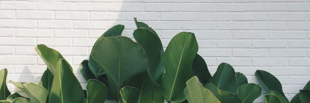 Ghosty's banner