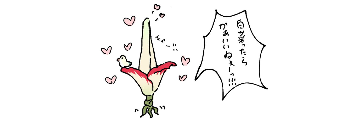 スマトラオオコンニャクと白菜's banner