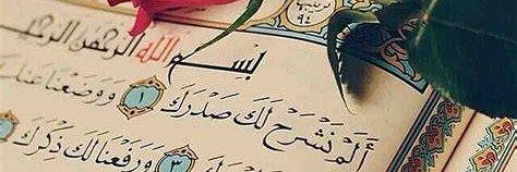 د. وفاء ‏🫶🏻's banner