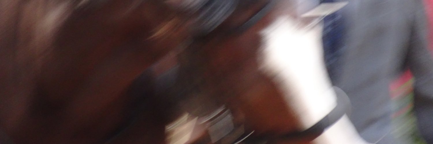 しぐま's banner